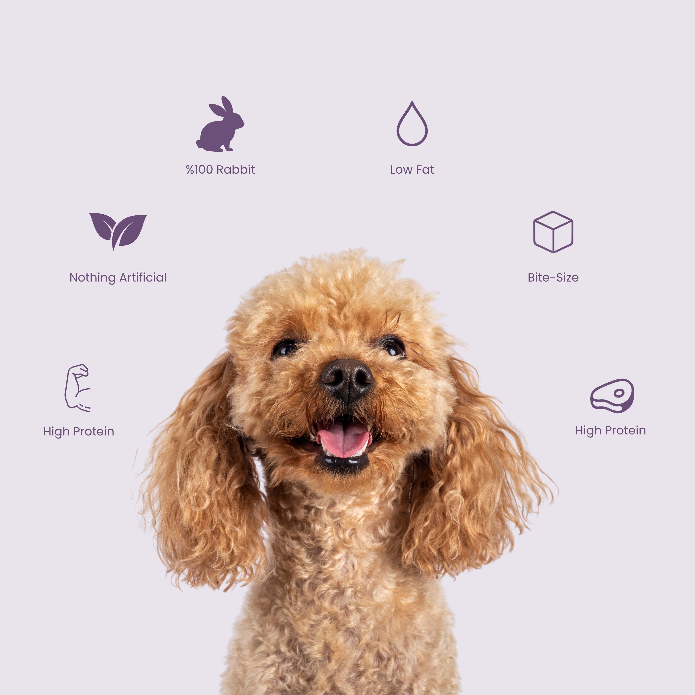 Rabbit Training Bites