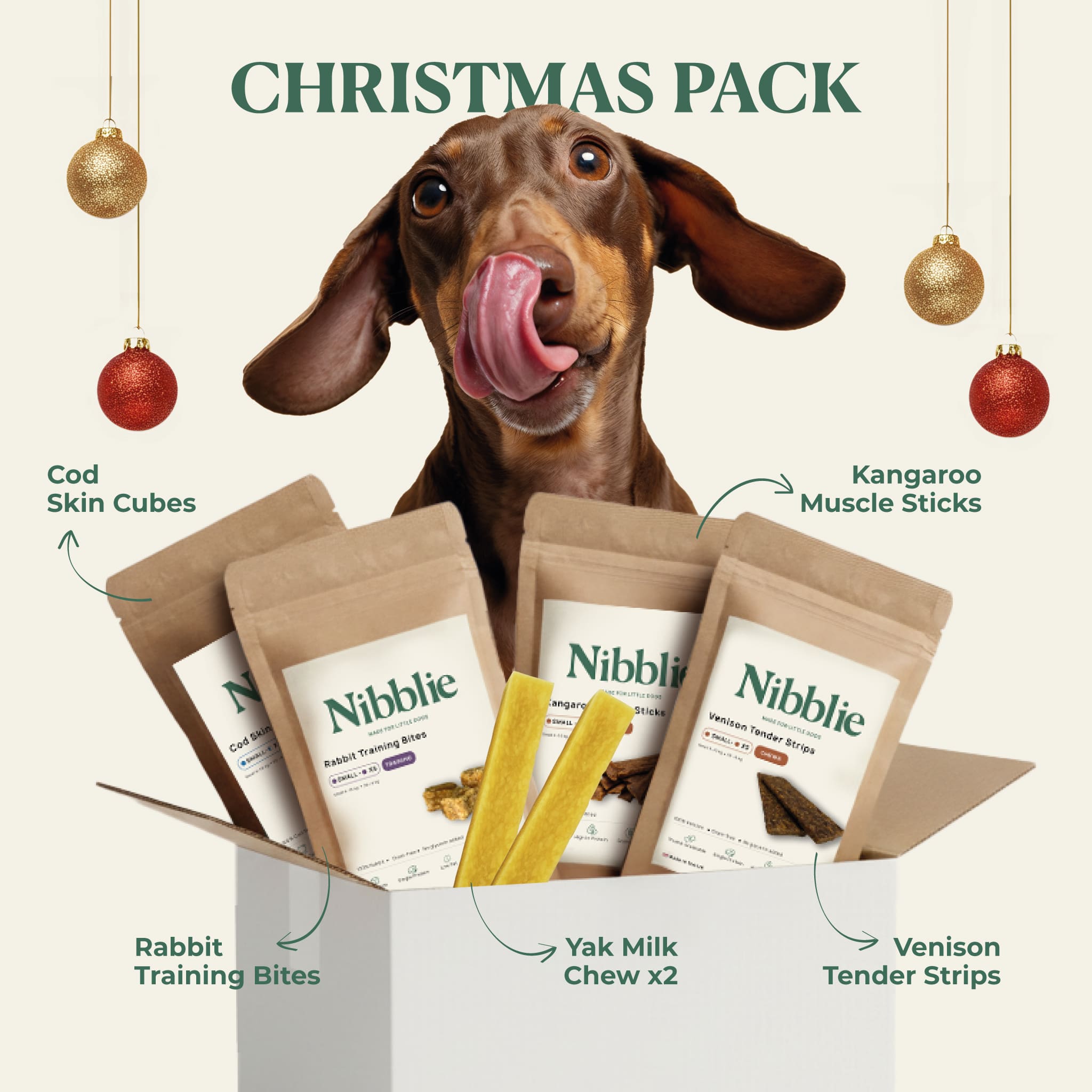 Excited dachshund licking its lips next to the Nibblie Christmas Pack gift box for small dogs