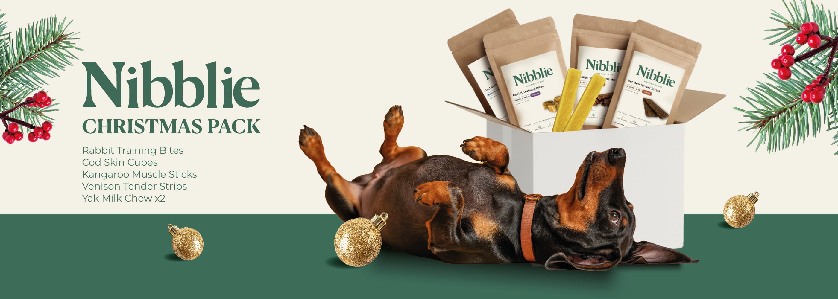 Dachshund lying beside a Nibblie Christmas Pack box filled with small dog treats