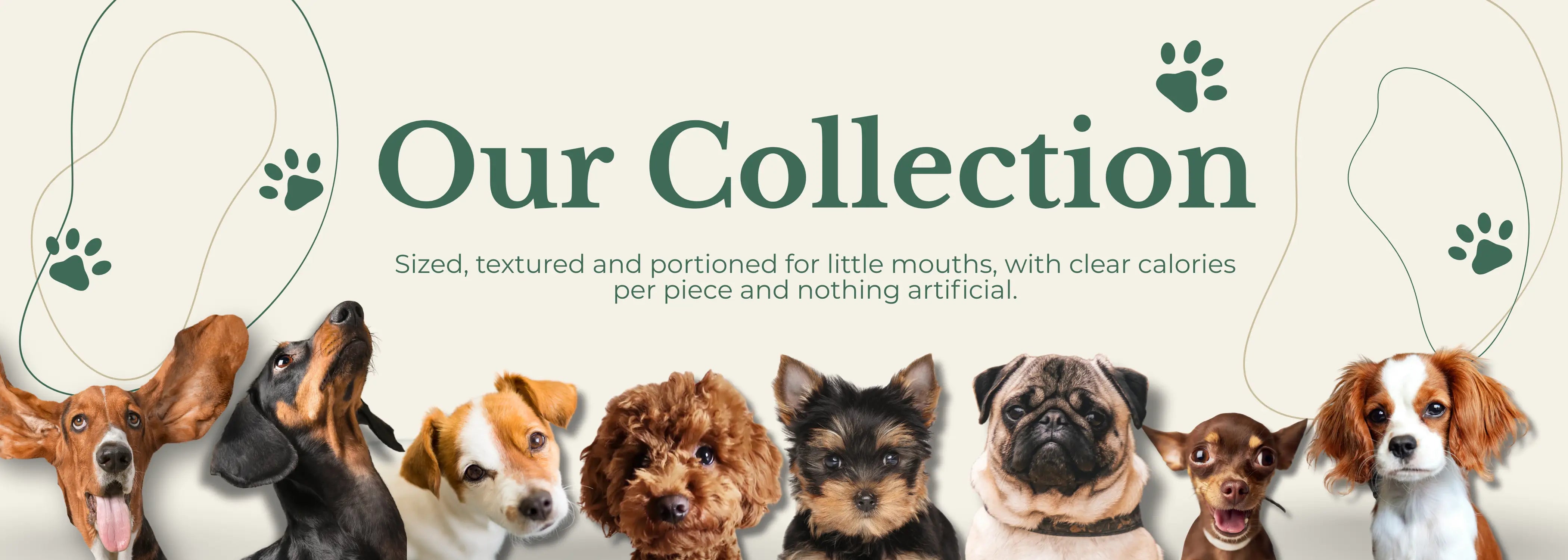Banner with a lineup of dogs and text about a product collection.