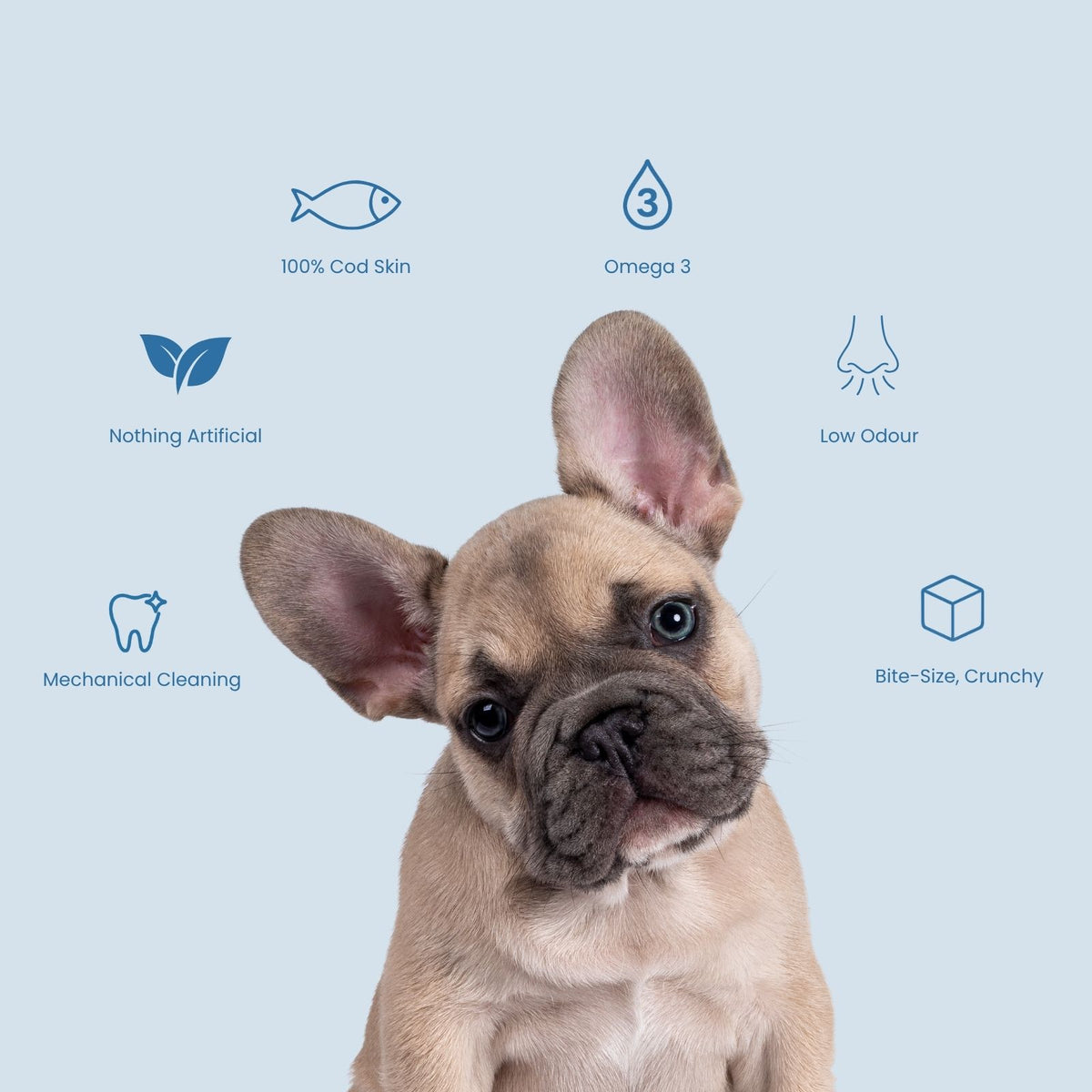 Jr Cod Skin Cubes Cod Skin Cubes for Small Dogs | Nibblie