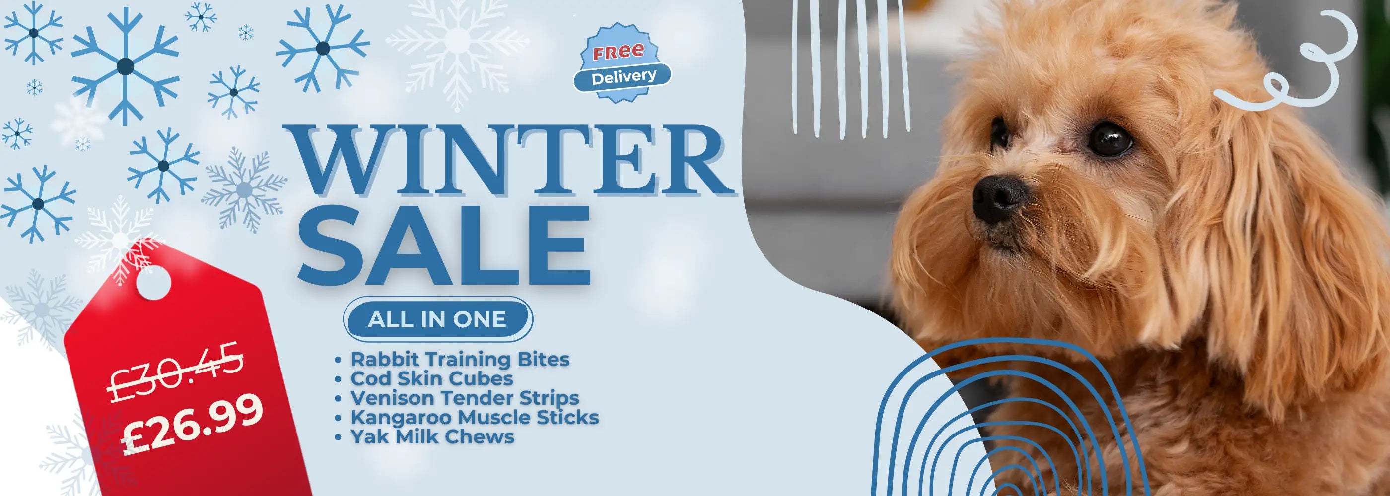 Dog food package with a dog, winter sale text, and product list on a blue background
