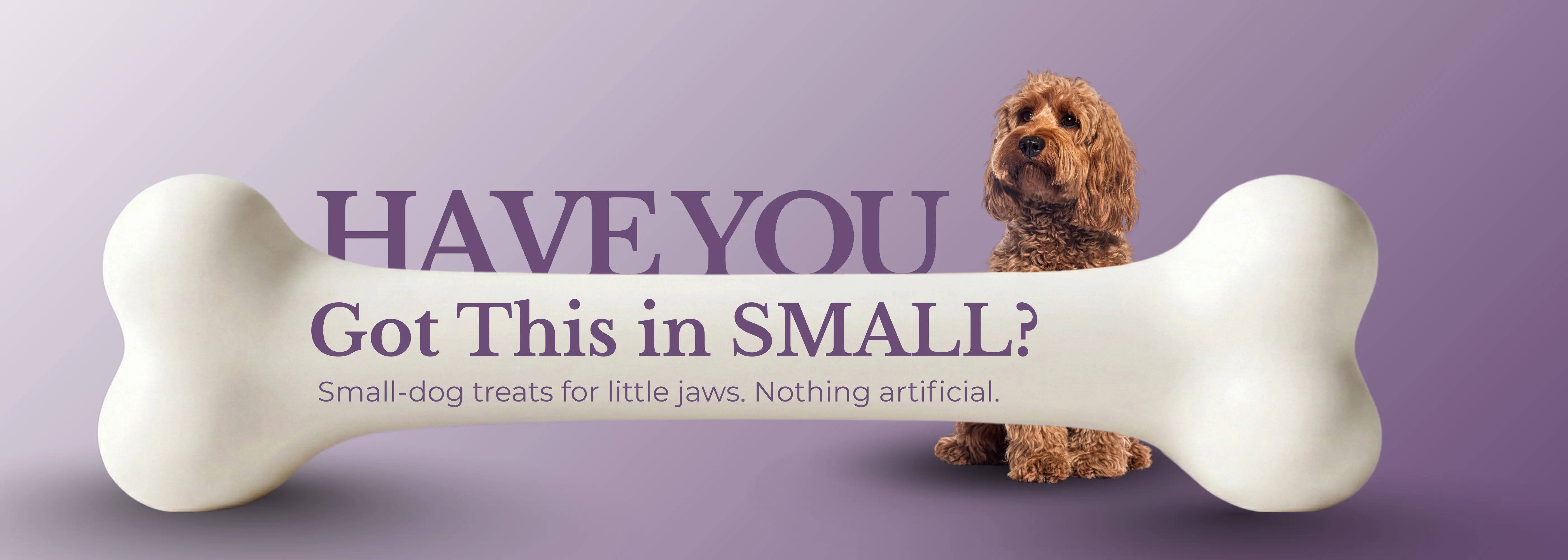 Dog bone-shaped treat with a dog and promotional text on a light purple background