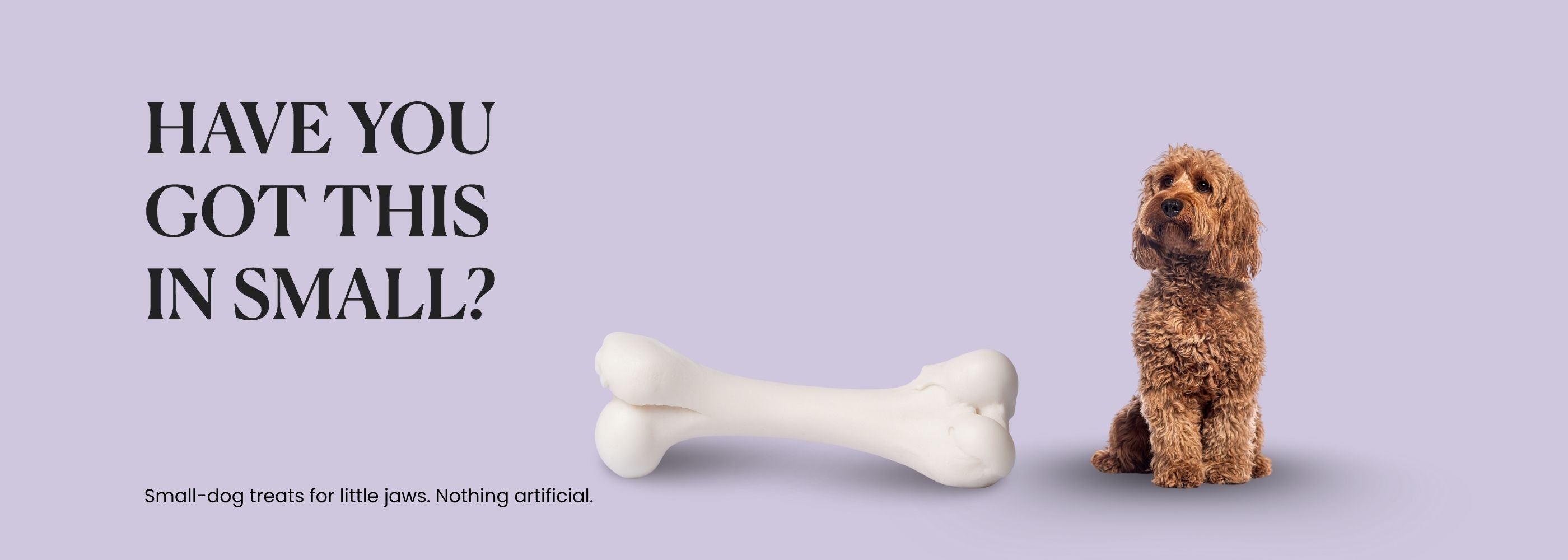 Small dog next to an oversized white bone on a pale lavender background, headline Have you got this in small, tagline Small dog treats for little jaws, nothing artificial.
